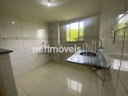 https://img.olx.com.br/thumbs256x256/87/871541764126422.jpg