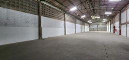 https://img.olx.com.br/thumbs256x256/87/871559638689387.jpg