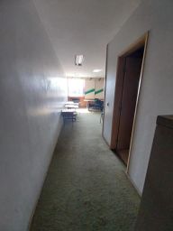 https://img.olx.com.br/thumbs256x256/87/871570276858653.jpg