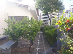 https://img.olx.com.br/thumbs256x256/87/871571769236781.jpg
