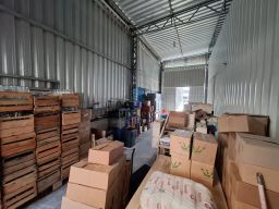 https://img.olx.com.br/thumbs256x256/87/871592270001657.jpg