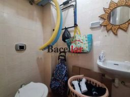 https://img.olx.com.br/thumbs256x256/87/872524160640009.jpg
