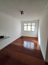 https://img.olx.com.br/thumbs256x256/87/872592513119273.jpg