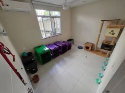 https://img.olx.com.br/thumbs256x256/87/872642432502258.jpg