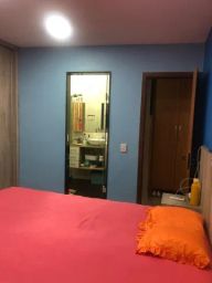 https://img.olx.com.br/thumbs256x256/87/873405750849506.jpg