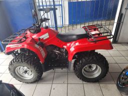 https://img.olx.com.br/thumbs256x256/87/873568377177594.jpg