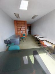 https://img.olx.com.br/thumbs256x256/87/874582875739353.jpg