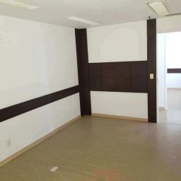 https://img.olx.com.br/thumbs256x256/87/874603209003791.jpg