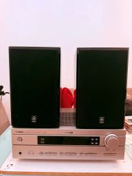 https://img.olx.com.br/thumbs256x256/87/875688552940371.jpg