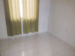https://img.olx.com.br/thumbs256x256/87/876555764027774.jpg
