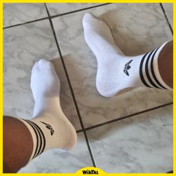 https://img.olx.com.br/thumbs256x256/87/877410571053801.jpg