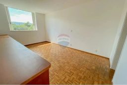 https://img.olx.com.br/thumbs256x256/87/877515762710315.jpg