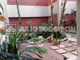 https://img.olx.com.br/thumbs256x256/87/877525524241530.jpg