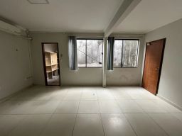 https://img.olx.com.br/thumbs256x256/87/877541640216127.jpg