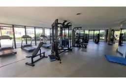 https://img.olx.com.br/thumbs256x256/87/877548886264456.jpg