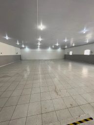 https://img.olx.com.br/thumbs256x256/87/877552644046901.jpg