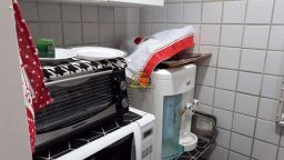 https://img.olx.com.br/thumbs256x256/87/877565400580452.jpg