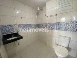 https://img.olx.com.br/thumbs256x256/87/877580288490831.jpg