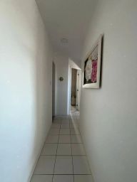https://img.olx.com.br/thumbs256x256/87/877588404210759.jpg