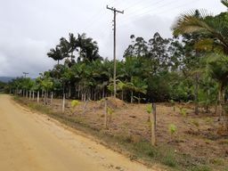 https://img.olx.com.br/thumbs256x256/87/878003282861906.jpg