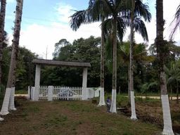 https://img.olx.com.br/thumbs256x256/87/878003642474201.jpg
