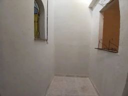 https://img.olx.com.br/thumbs256x256/87/878538168279136.jpg