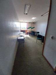 https://img.olx.com.br/thumbs256x256/87/878551390075341.jpg