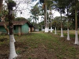 https://img.olx.com.br/thumbs256x256/87/879003040997520.jpg