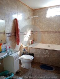 https://img.olx.com.br/thumbs256x256/87/879696538058587.jpg