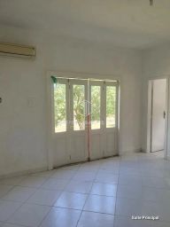 https://img.olx.com.br/thumbs256x256/88/880524647911937.jpg