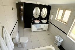 https://img.olx.com.br/thumbs256x256/88/880534649642550.jpg