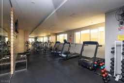 https://img.olx.com.br/thumbs256x256/88/880564288421005.jpg