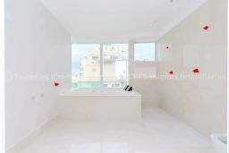 https://img.olx.com.br/thumbs256x256/88/880571768783018.jpg
