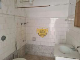 https://img.olx.com.br/thumbs256x256/88/881510405276837.jpg