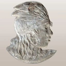 https://img.olx.com.br/thumbs256x256/88/881516640991009.jpg