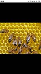 Título do anúncio: Mel de abelha