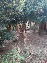 https://img.olx.com.br/thumbs256x256/88/882228273413949.jpg