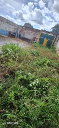 https://img.olx.com.br/thumbs256x256/88/882503517326037.jpg