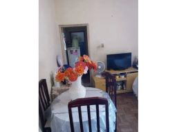 https://img.olx.com.br/thumbs256x256/88/882505526164393.jpg