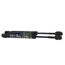 https://img.olx.com.br/thumbs256x256/88/882594161730860.jpg