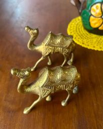https://img.olx.com.br/thumbs256x256/88/882698809843388.jpg