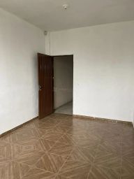 https://img.olx.com.br/thumbs256x256/88/883518766164319.jpg