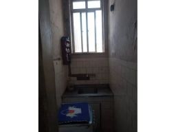 https://img.olx.com.br/thumbs256x256/88/883532765823732.jpg