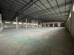 https://img.olx.com.br/thumbs256x256/88/883573286290236.jpg