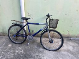 https://img.olx.com.br/thumbs256x256/88/883588747068018.jpg