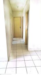 https://img.olx.com.br/thumbs256x256/88/883595288682694.jpg
