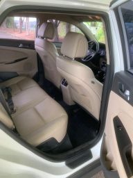 https://img.olx.com.br/thumbs256x256/88/883655567647206.jpg
