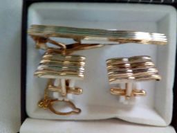 https://img.olx.com.br/thumbs256x256/88/884310345360109.jpg