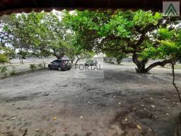 https://img.olx.com.br/thumbs256x256/88/884544398287515.jpg