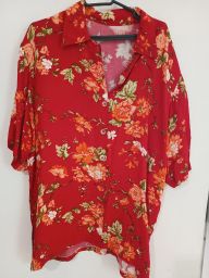 https://img.olx.com.br/thumbs256x256/88/884575518922250.jpg